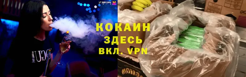 закладка  Гвардейск  Cocaine VHQ 