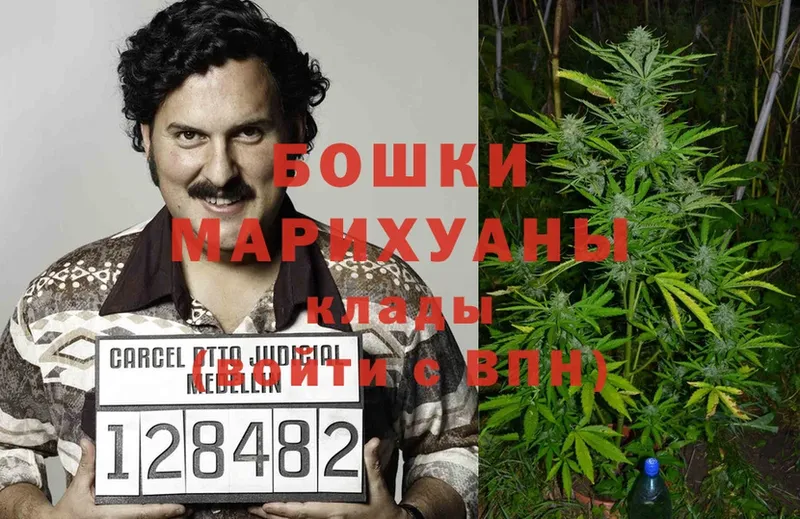 где купить наркоту  Гвардейск  МАРИХУАНА Ganja 